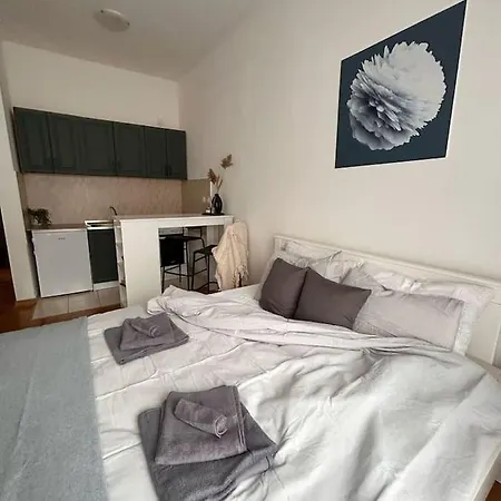S11 Apartment Novi Sad Exterior photo